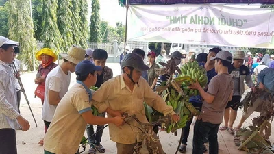 Giải cứu chuối: Nước mắt nông dân và tình nguyện viên 