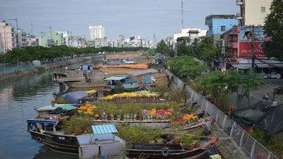 TP.HCM sẽ mua hoa Tết ế của tiểu thương tại Bến Bình Đông để trang trí đường hoa