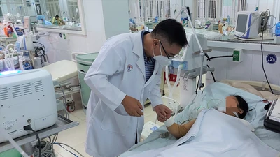 Vụ ngộ độc cá chép ủ chua: Bệnh viện Chợ Rẫy gửi công văn hỏa tốc 