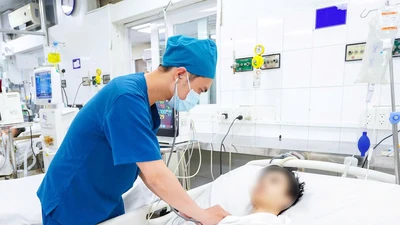 TP.HCM cảnh báo bệnh sốt xuất huyết sẽ gia tăng