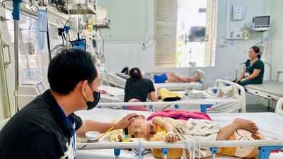 Tay chân miệng tăng cao, nhiều ca nặng, chủng EV71 chiếm ưu thế