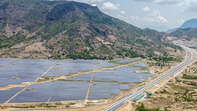 Khánh Hòa xử lý cá nhân, tổ chức liên quan sai phạm dự án điện mặt trời