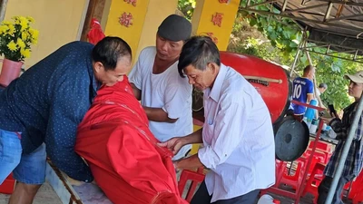 Cá heo dạt vào bờ biển ở Khánh Hòa đã chết