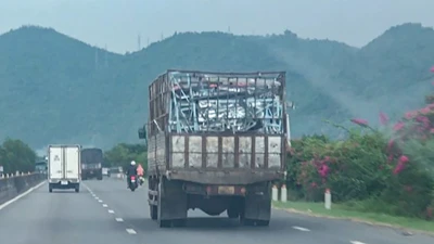 Công an Khánh Hòa tiếp nhận đơn tố giác vụ vứt tài sản cưỡng chế ra bãi rác