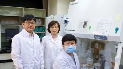 Nhóm các nhà khoa học Hàn Quốc công bố "bản đồ gen có độ phân giải cao" của virus SARS-CoV-2 gây dịch COVID-19. Ảnh: SCMP