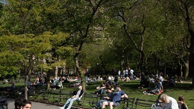 Người dân New York đến Công viên quảng trường Washington để tắm nắng. Ảnh: GETTY IMAGES