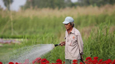 Ảnh: Ngắm làng hoa Sài Gòn cận tết Tân Sửu