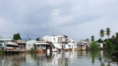 Cần Thơ sạt lở làm ảnh hưởng 13 căn nhà