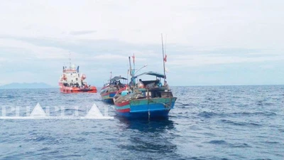 Hội nghề cá Việt Nam phản đối lệnh cấm đánh bắt cá phi lý của Trung Quốc ở Biển Đông 