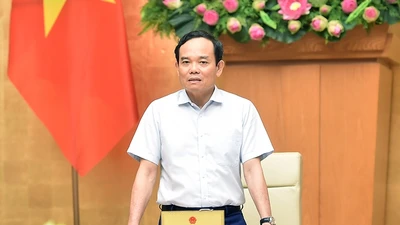 Tháng 6, Phó Thủ tướng sẽ kiểm tra công tác chống IUU tại các địa phương