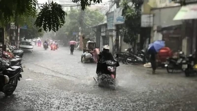 Cảnh báo rét đậm, rét hại khi mới bước vào mùa đông