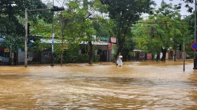 Dự báo miền Trung tiếp tục mưa lớn những ngày tới, có nơi 600mm