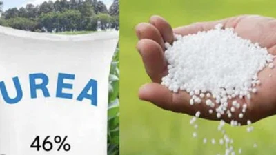 Chiến sự tại Trung Đông tác động tới thị trường phân bón ra sao?