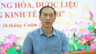 Đưa 'quốc bảo' của Lai Châu vươn ra thế giới