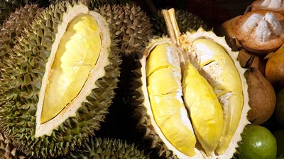 Sầu riêng, nhiều nông sản ùn tắc kiểm nghiệm, Bộ NN&MT chỉ đạo khẩn 