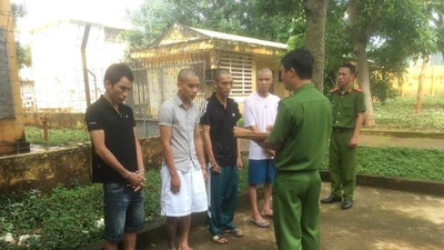 Nhóm thanh niên ở nhiều tỉnh rủ nhau lên Đắk Lắk trộm xe