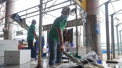 Tiểu thương ngại vào cảng cá Thọ Quang vì phí xét nghiệm cao