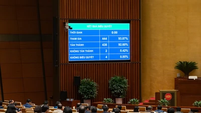 Cần xây dựng tòa án chuyên biệt theo mô hình 'mở có kiểm soát'