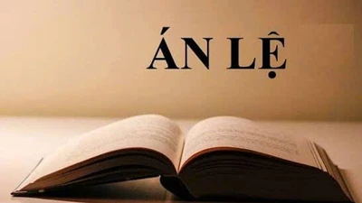 Án lệ 81/2025 và triết lý 'có nợ phải trả'