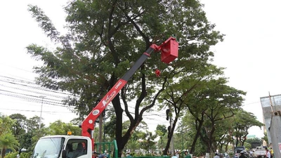 Bão số 16 đang gây mưa ở ĐBSCL 