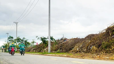 Đà Nẵng đề xuất chi 5,8 tỉ đồng xử lý rác sau bão 