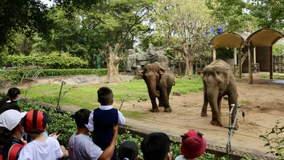 Hàng ngàn người đổ về Thảo Cầm Viên, Đầm Sen du xuân mùng 2 Tết