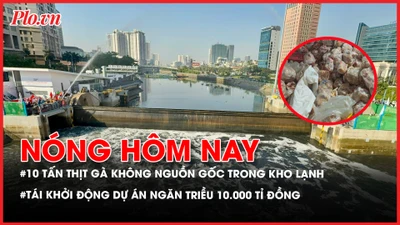 thịt gà không nguồn gốc, dự án ngăn triều, bồi thường chuyến bay chậm, 