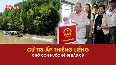 Vượt kênh rạch theo con nước lớn, cử tri xã đảo TP.HCM hăng hái đi bầu cử 
