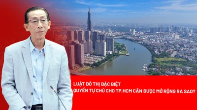 TP.HCM, Luật đô thị đặc biệt, Bộ Chính trị