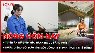 hành hạ, giúp việc, tuyên án, bùi đình khánh, nước giếng 
