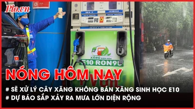 Nóng hôm nay, xăng sinh học, Bộ Công Thương