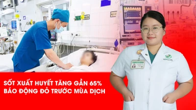 Sốt xuất huyết, dịch bệnh, sốt