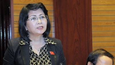 Phó Chủ tịch nước đề cập vụ Đồng Tâm, Mỹ Đức