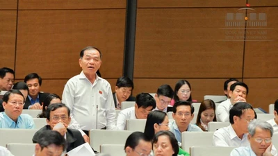 Đại biểu Lê Thanh Vân chất vấn vụ Mobifone mua AVG