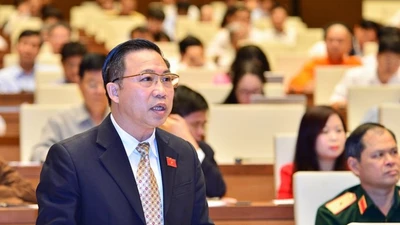 Đại biểu lại đề nghị xem xét khởi tố vụ phân bón Thuận Phong 