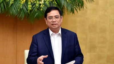 Phân công nhiệm vụ cho Thủ tướng và các Phó thủ tướng ra sao?