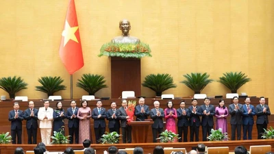 Quốc hội bầu Chủ tịch Hội đồng Dân tộc và Chủ nhiệm các Ủy ban khóa XVI