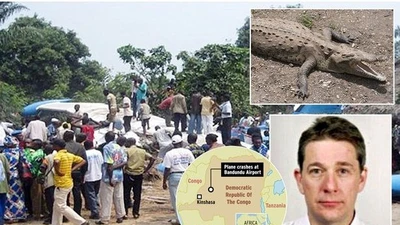 Xôn xao án mạng kinh hoàng cá sấu cắn hành khách trên máy bay