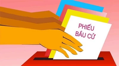 Trường hợp tổ chức bầu cử lại