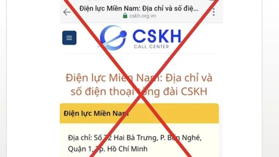 Xuất hiện thêm trang web giả mạo ngành điện, EVNSPC thông báo khẩn