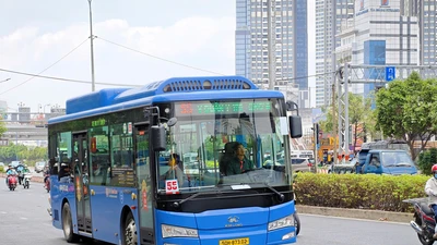 TP.HCM miễn phí vé trên 134 tuyến xe buýt từ ngày 1-7