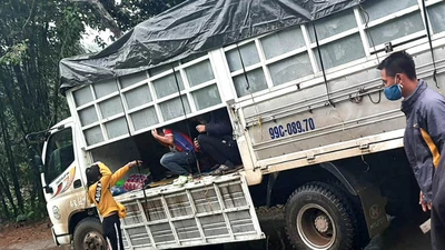 Xe tải chở 15 người có cả trẻ em vượt chốt khai báo y tế