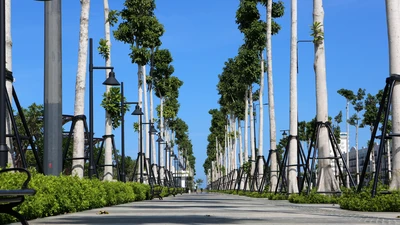 Thanh Hóa sắp có đại lộ ven biển đẹp nhất tỉnh 