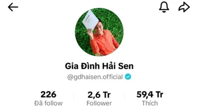Chủ kênh Tiktok Gia đình Hải Sen bị khởi tố bắt giam do buôn bán hàng giả