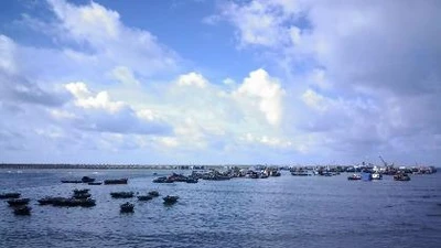 Tìm kiếm CASA 212: Huyện đảo Bạch Long Vĩ huy động tổng lực 