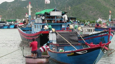 Ninh Thuận chuẩn bị nhiều phương án ứng phó bão Damrey