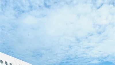 Vietjet khôi phục 48 đường bay nội địa trên những chuyến bay xanh