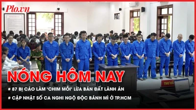 87 bị cáo làm 'chim mồi' lừa bán đất lãnh án; Cập nhật số ca nghi ngộ độc bánh mì ở TP.HCM
