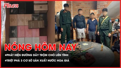 Đột kích lò mổ, phát hiện đường dây trộm chó liên tỉnh; Triệt phá đường dây sản xuất nước hoa giả