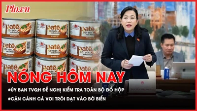 Nóng hôm nay 13-01: Sau vụ đồ hộp Hạ Long: Đề nghị tổng rà soát đồ đóng hộp; Cận cảnh cá voi trôi vào bờ biển